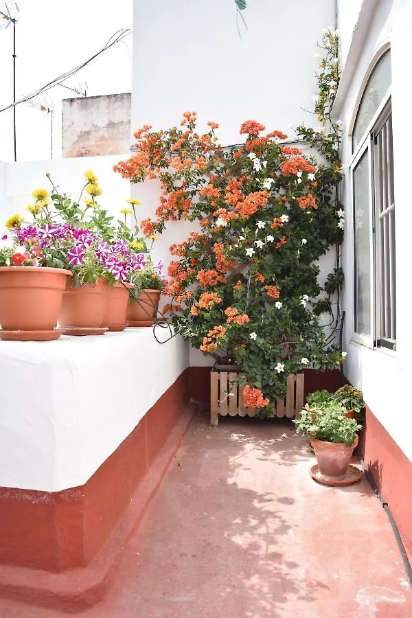 Apartamento La Discusión de Veedor 12 Cádiz España